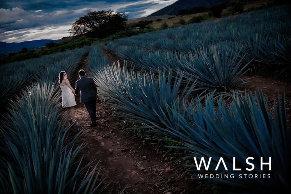 Fotografo de bodas guadalajara