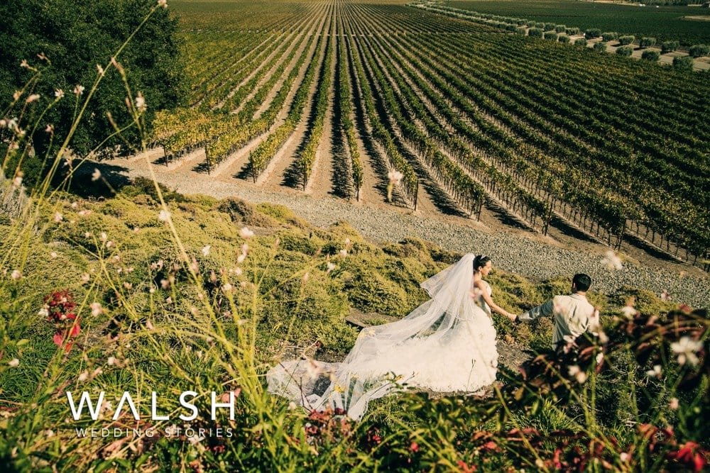 Napa Valley vineyards wedding photographers