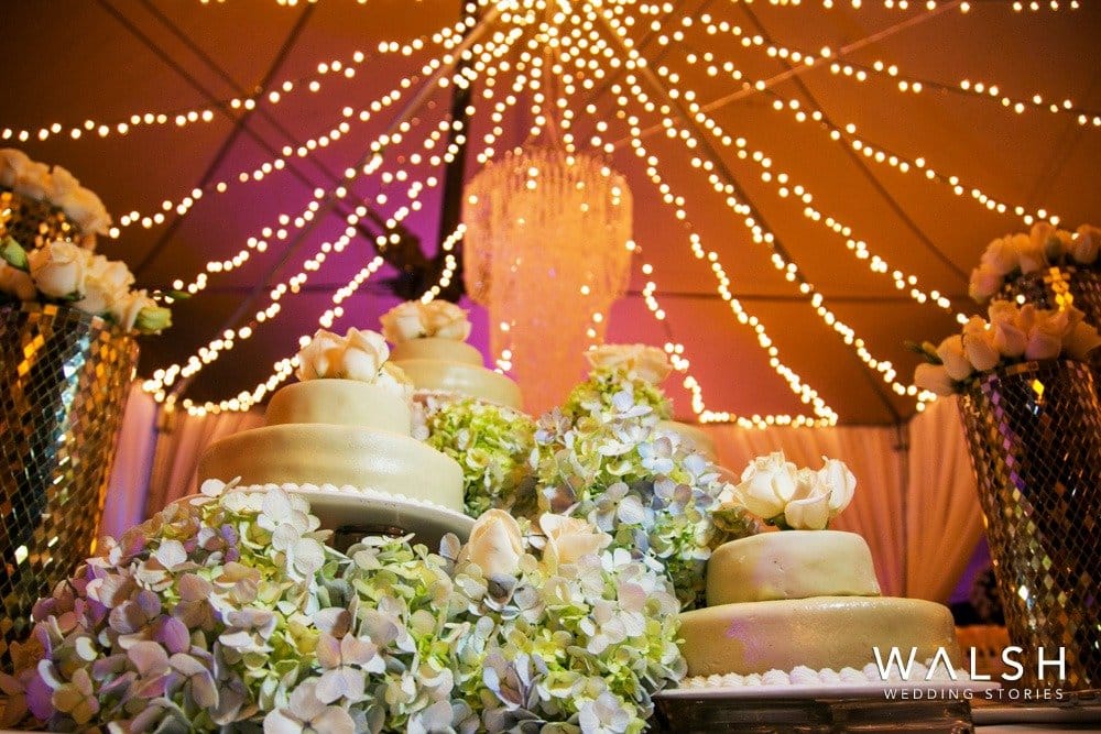 pastel de boda-fotos de bodas santo domingo del cerro