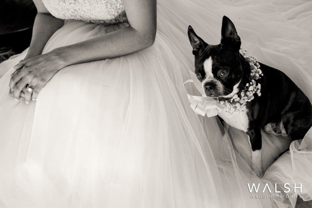 fotografos de boda el salvador