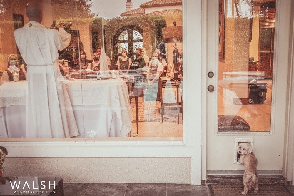 Wedding in Houston with dog