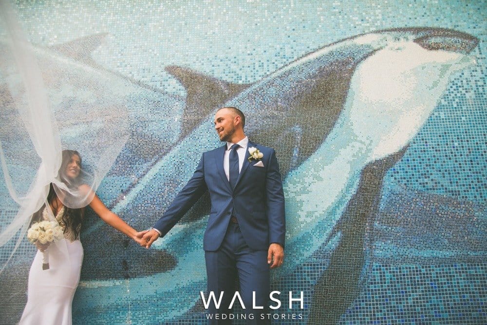 los cabos wedding photographer