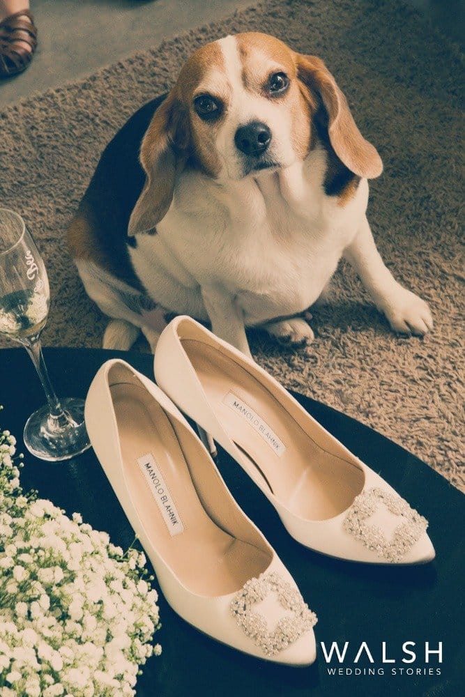 Bodas por Walsh Wedding Stories