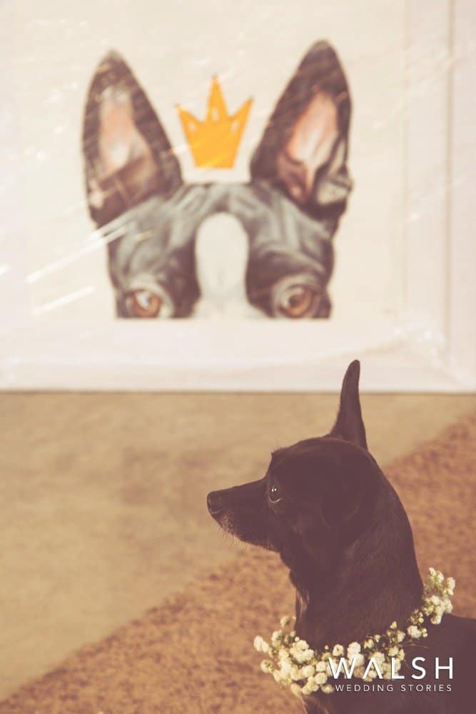 fotografos salvadoreños