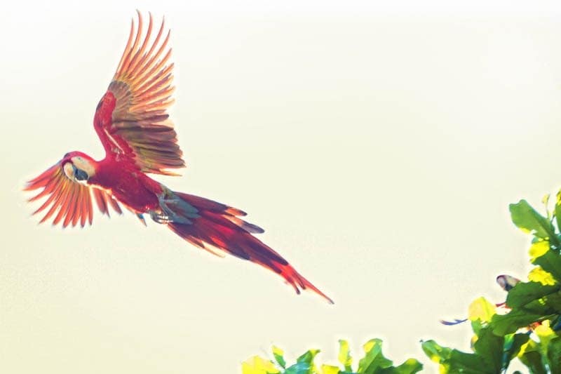 08H-104-Little moments-b (2)